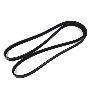 Serpentine Belt